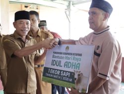 Jelang Iduladha, Pemkab Ketapang Salurkan Sapi Kurban ke Sejumlah Masjid dan Musala