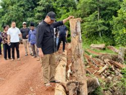 Jembatan Benipis Dua Kembali Fungsional, Pemkab Ketapang Siapkan Solusi Permanen