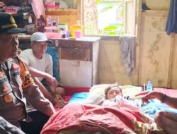 Bocah SD Diterkam Buaya Saat Rumahnya Kebanjiran di Desa Pesaguan