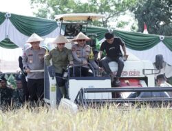 Sambas Jadi Pusat Panen Raya Padi se-Kalbar, Bupati Satono : Target Ekspor ke Malaysia
