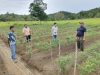 CSR PT BGA Region Sungai Rasau Dorong Transformasi Pertanian di Kendawangan Kanan 